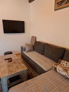 sala de estar con sofá y TV de pantalla plana en Mokrogorska kuca en Mokra Gora