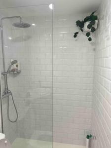 een badkamer met een douche en een glazen deur bij Pachi Beach Atlantic Garden Corralejo in Corralejo