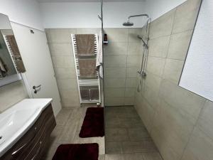 a bathroom with a shower and a sink at Haus Grimm - Apartment Katharina in Scheifling +9 photos