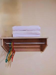 a towel rack with towels on a wall at HOTEL YTS in Brinchang