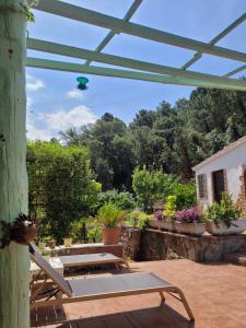 Κήπος έξω από το Trocito de Paraíso en la Sierra Espadán +38 φωτογραφίες