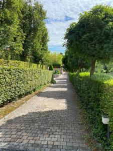 einen steinernen Gehweg mit Bäumen und Büschen auf beiden Seiten in der Unterkunft Belair Country house ground floor in Tervuren