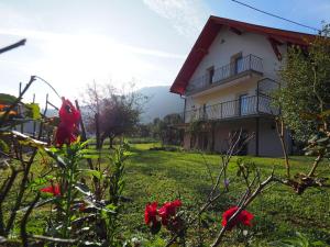 una casa con fiori rossi davanti di Hillside Hideaway a Tschöran