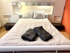 ein weißes Bett mit zwei Kissen darauf in der Unterkunft Skyview Studio Peaceful Retreat near Luxemburg Airport in Niederanven