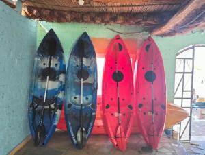 eine Gruppe von Surfbrettern, an einer Wand aufgestellt in der Unterkunft Go Inn Backpackers in Assuan