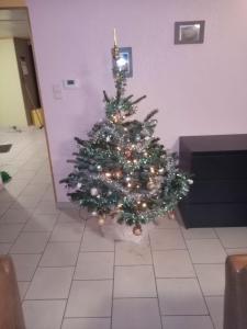 Foto sihtkohas Libin asuva majutusasutuse Gîte de la barrière galeriist