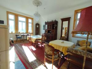 un soggiorno con divano e tavolo di Superior-Komfort-Suite-90m2-bis-5-Personen-im-Jugendstil-Gruenderzeit-Villa-im-Harz a Sankt Andreasberg