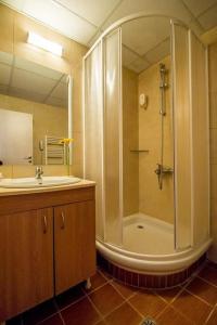 ein Bad mit einer Dusche und einem Waschbecken in der Unterkunft Apartments Hotel Snejanka Pamporovo in Pamporowo