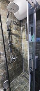 baño con ducha y puerta de cristal en Marinkovic 2 stan na dan, en Vranje