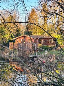 a wooden house in the middle of a forest at 'Mallard' Secluded Rustic Lodge - Digital Detox Paradise in Allerthorpe