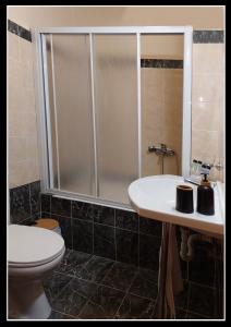 a bathroom with a shower and a toilet and a sink at Lakonia Hotel in Sparta