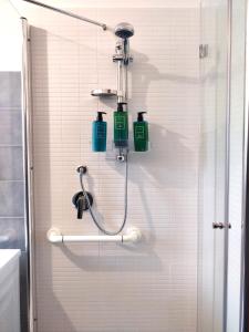 a shower in a bathroom with two bottles on the wall at La Dimora di Enea in Rome