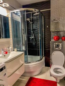 La salle de bains est pourvue d'une douche, de toilettes et d'un lavabo. dans l'établissement Apartment by Opieszyn, à Września