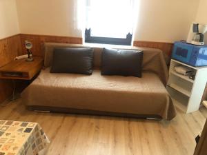 a couch with two pillows in a living room at Apartment Zapart Harrachov in Harrachov