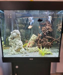 圣热尼普伊Appartement neuf moderne + parking, Genève的相册照片