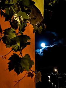 Fotografie z fotogalerie ubytování B&B Vigna Grande v destinaci Agropoli