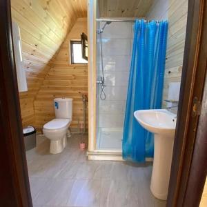 ein Bad mit einem WC, einer Dusche und einem Waschbecken in der Unterkunft Kolsay_village in Kurmenty