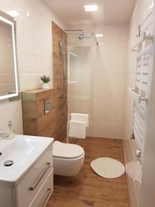 uma casa de banho com um WC, um chuveiro e um lavatório. em Hacjenda em Boszkowo-Letnisko