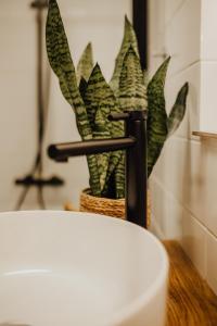 a plant sitting next to a toilet in a bathroom at Bestlage im Hechtviertel & frisch saniert in Dresden