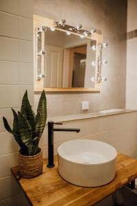 a bathroom with a sink and a mirror and a plant at Bestlage im Hechtviertel & frisch saniert in Dresden