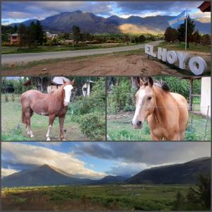 a collage of photos of a horse in a field at Cabañas Alma del Sur in El Hoyo