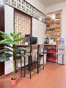 an office with a desk and a plant in a room at Allred Hostel Chiangmai in Chiang Mai