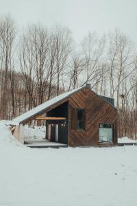 drewniany dom w śniegu z drzewami w obiekcie Krańcówka Szczyrk Dolna w Szczyrku