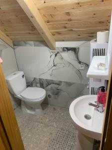 ein Bad mit einem WC und einem Waschbecken in der Unterkunft Eco Village Jasavić II in Plav