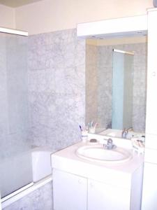 uma casa de banho com um lavatório, um espelho e uma banheira em Heart of Paris - Entire or Private Room Apartment - Bastille & Marais em Paris