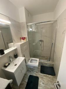 een badkamer met een douche, een toilet en een wastafel bij Apartman Dunja in Divčibare