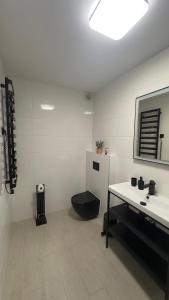 隆代克－茲德魯伊的住宿－Sasanka LZ，一间带卫生间、水槽和镜子的浴室