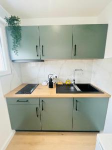 uma cozinha com armários verdes e um lavatório em Appartement centre historique em Mulhouse