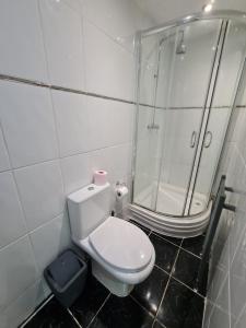 La salle de bains est pourvue d'une douche et de toilettes blanches. dans l'établissement Smart & Bright Apartment, à Londres
