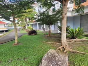 Zahrada ubytování Pangkor BeachWalk Studio