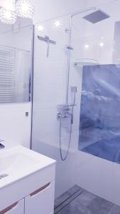 a white bathroom with a shower and a sink at Apartament u Anielki in Uniejow