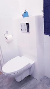 a white bathroom with a toilet and a roll of toilet paper at Apartament u Anielki in Uniejow