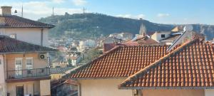 una ciudad con techos y una montaña en el fondo en HRISTIJAN APARTMENT in the city center en Štip