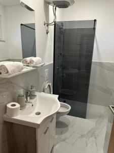 a bathroom with a toilet and a sink and a shower at Apartments and rooms Monaco in Mostar