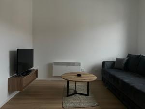 TV a/nebo společenská místnost v ubytování CaMe Apartment