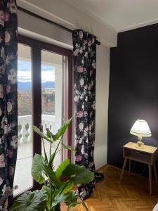 a room with a window with a plant and a lamp at Jordan Apartman in Niška Banja