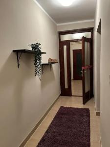 Foto dalla galleria di Jordan Apartman a Niška Banja