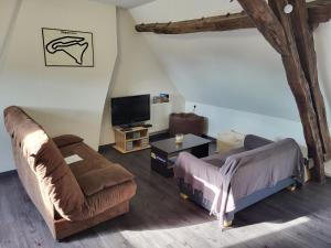 a living room with a couch and a tv at Appartement au pied du circuit de Magny-cours in Magny-Cours