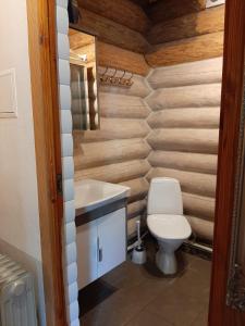 ein Bad mit einem WC und einem Waschbecken in der Unterkunft Ceļinieks in Babīte