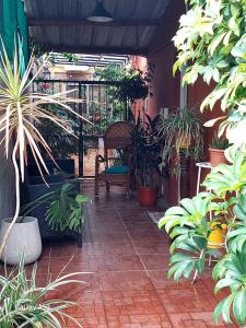 um pátio com um monte de vasos de plantas em La casa de Marcela em Gualeguaychú