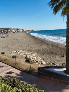 a view of a beach with palm trees and the ocean at Piso encantador Mediterráneo in Rincón de la Victoria