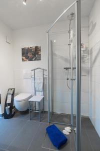 La salle de bains est pourvue d'une douche en verre et de toilettes. dans l'établissement Ankerplatz, à Büsum