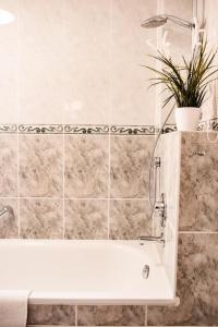 a bathroom with a bath tub with a plant in it at Rosenblick (E8) in Büsum +8 photos