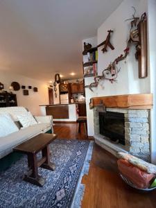 a living room with a fireplace and a couch at la saxe coumayeur in Courmayeur