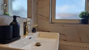 un lavandino in bagno con dispenser di sapone e finestra di WARTEN - Lake Lodge a Bregenz