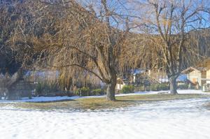 Fionisco - Giardino privato con vista sulle Alpi v zimě